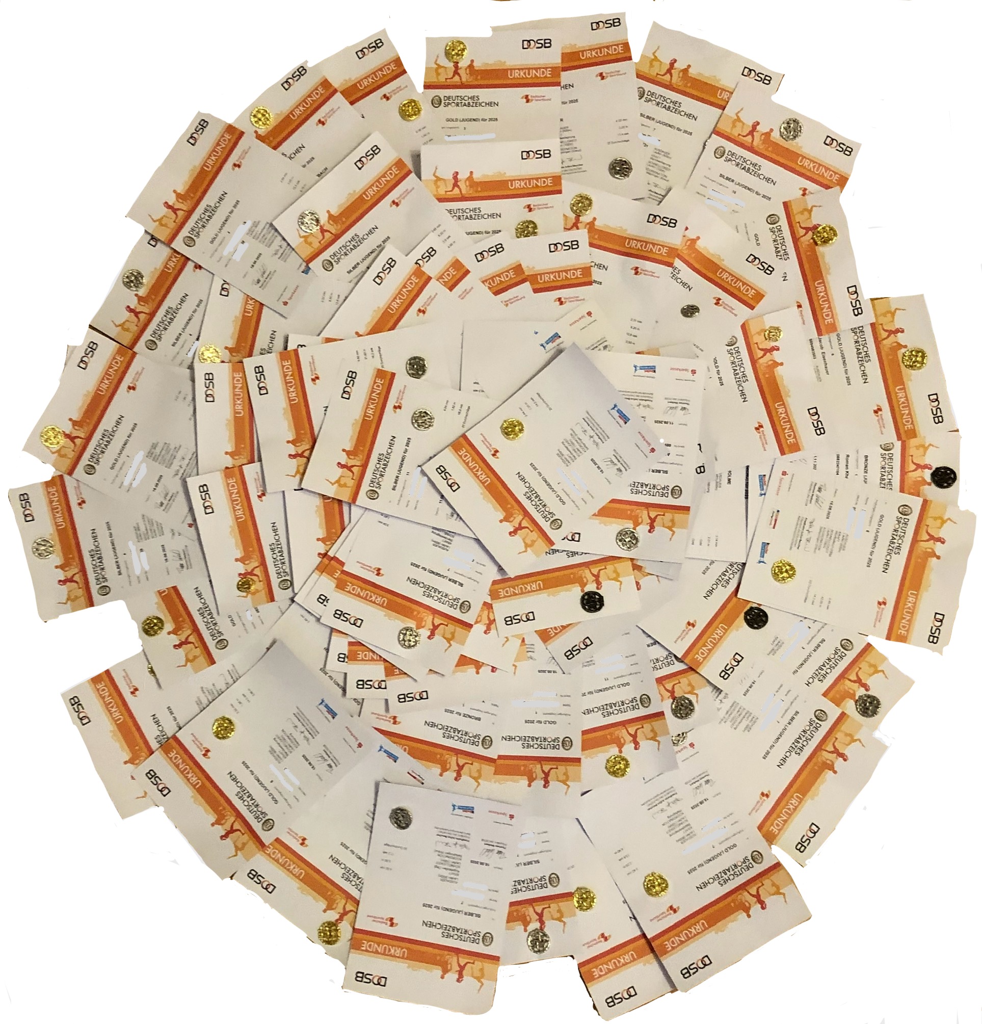 Zwei Standorte, ein Ziel: Sportabzeichen mit Teamgeist